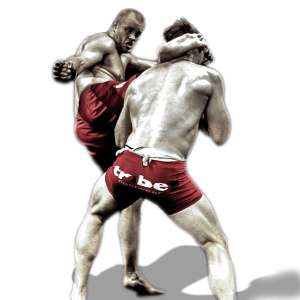 Mixed martial arts PNG, MMA PNG