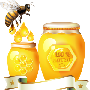 Honey PNG