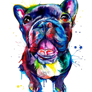 color bulldog PNG
