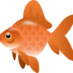 Goldfish PNG