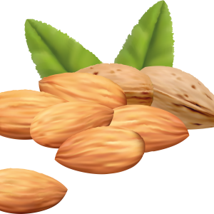 Almonds with leaves PNG