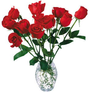Rose PNG