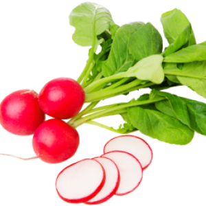 Radish PNG