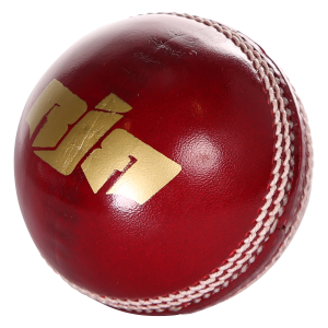 Cricket ball PNG