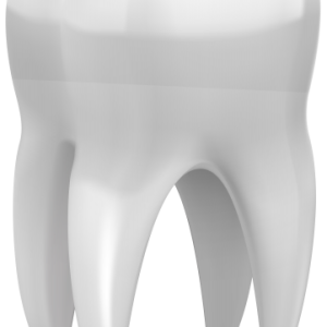 tooth png