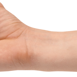Hands PNG, hand image free