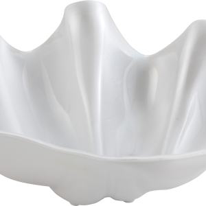 Conch PNG