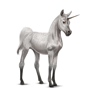 Unicorn PNG