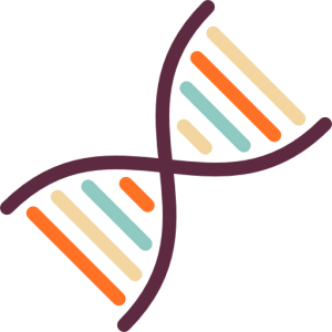 DNA PNG