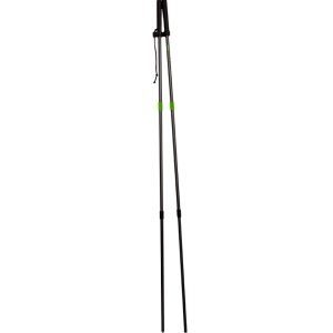Trekking pole PNG