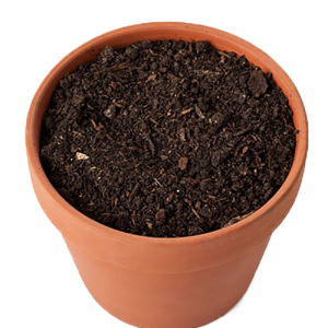 Soil PNG
