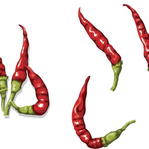 Chili pepper PNG