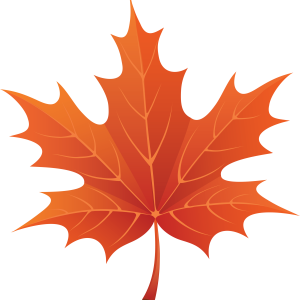 maple PNG leaf