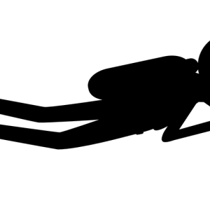 Diver PNG