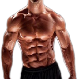 Bodybuilding PNG