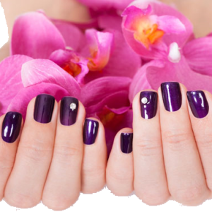 Nails manicure PNG