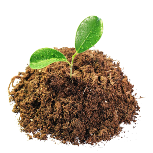 Soil PNG