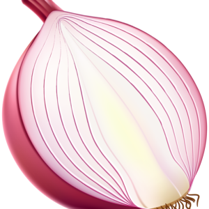 Onion PNG