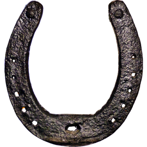 Horseshoe PNG
