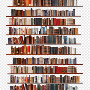 Bookshelf, bookcase PNG