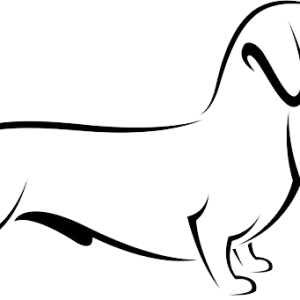 Dachshund PNG