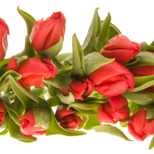 Bouquet flowers PNG