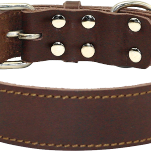 Dog collar PNG