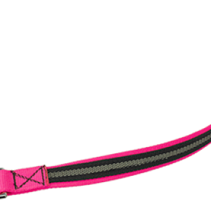 Leash PNG