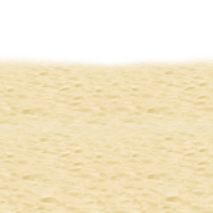 Beach PNG