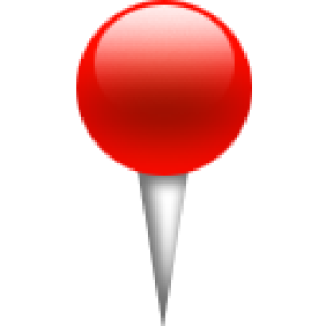 Pin PNG