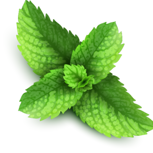 Pepermint PNG