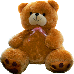 Teddy bear PNG