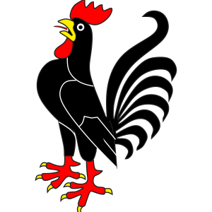 Cock PNG