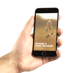 Phone in hand PNG