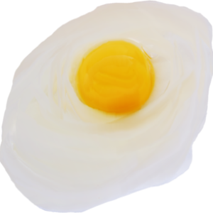 Fried egg PNG