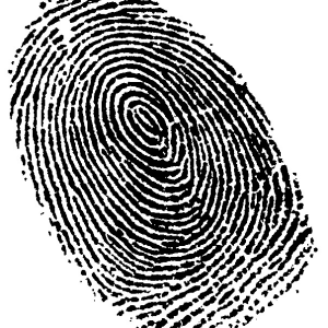 Fingerprint PNG