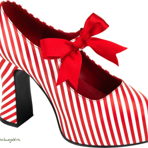 Women shoes PNG image