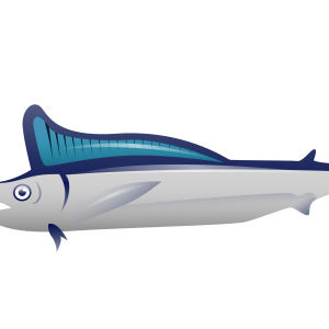 Swordfish PNG