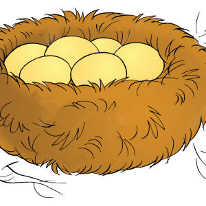 Nest PNG
