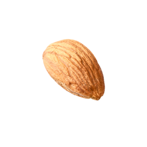Almond PNG