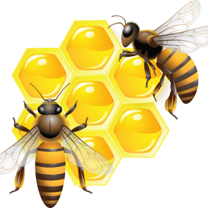 Honey PNG