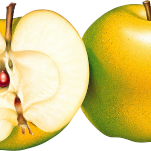 Apple PNG