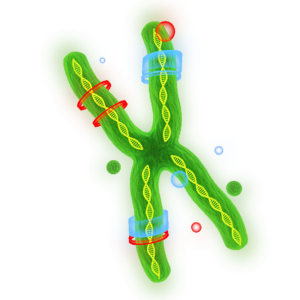 DNA PNG