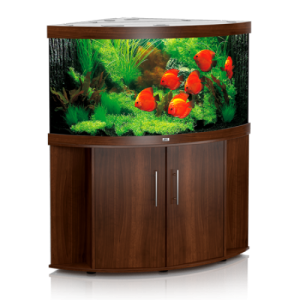 Aquarium PNG