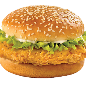 hamburger, burger PNG image