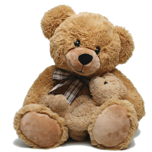 Teddy bear PNG