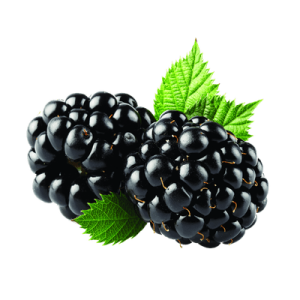 Blackberry PNG