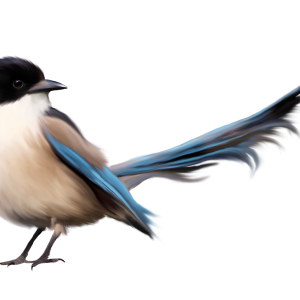 Bird PNG