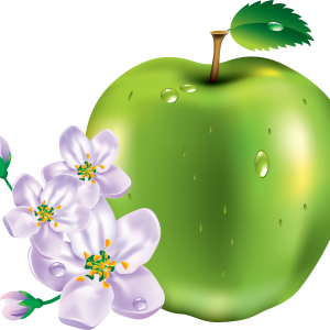 Apple with flowers PNG