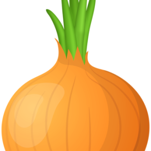 Onion PNG